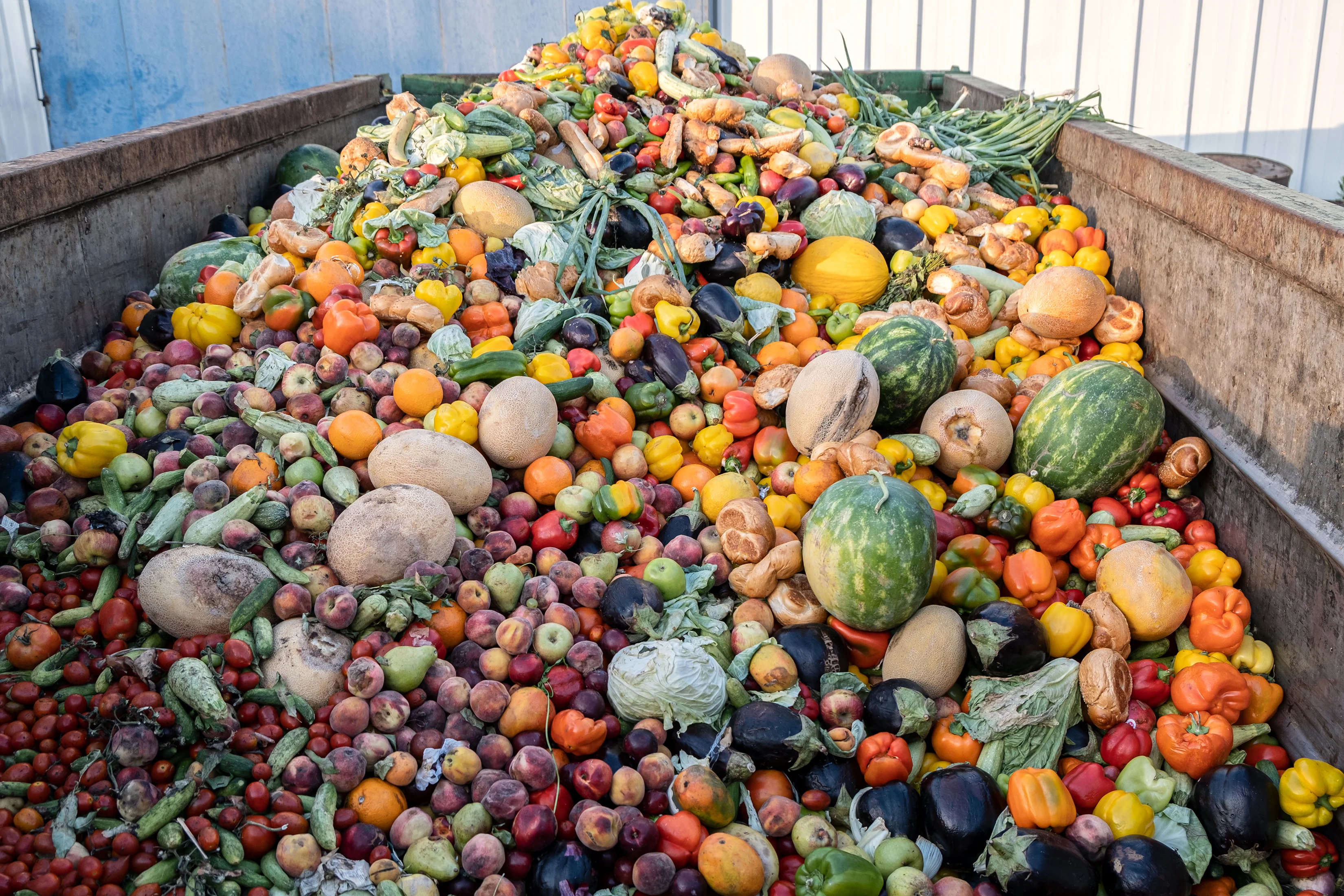 Piles of fruits ready to be discarded